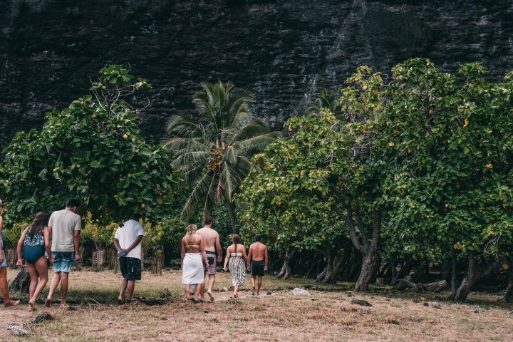 People walking through a tropical area with trees and rocky backdrop.