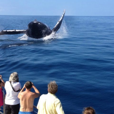 a group of people in a boat on a body of water