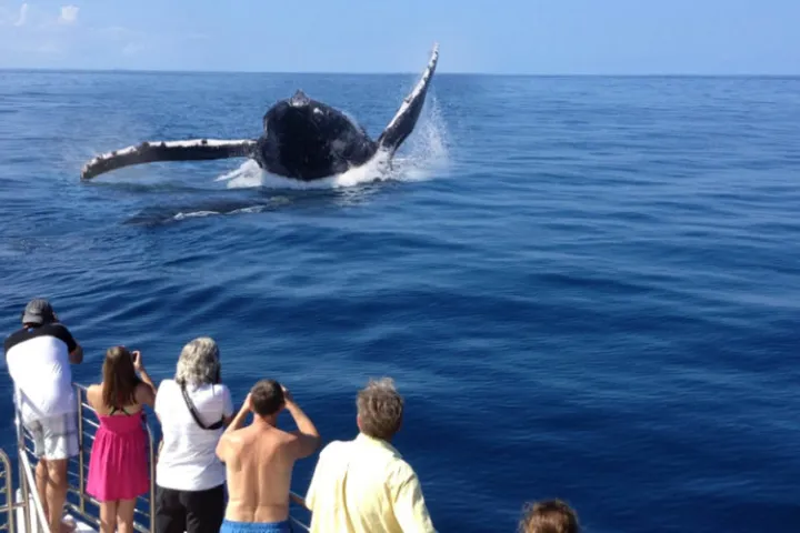 a group of people in a boat on a body of water