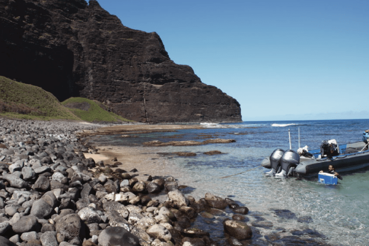 a group of people on a raft along an island of Kauai