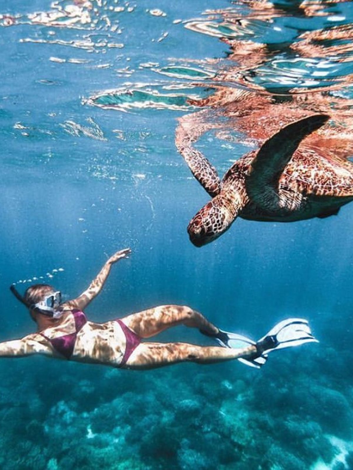 a flock of seagulls are swimming in a body of water
