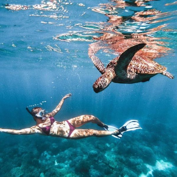 a flock of seagulls are swimming in a body of water