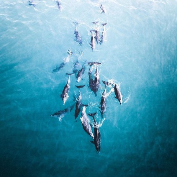 a man flying through the air while riding a wave in the ocean