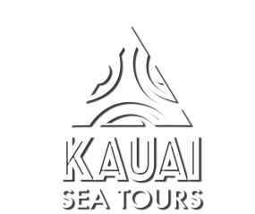 Kauai Sea Tours