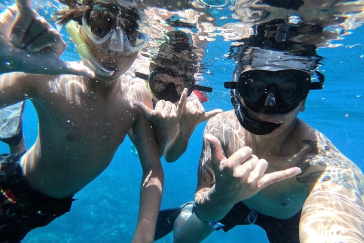 a group of people swimming in a body of water