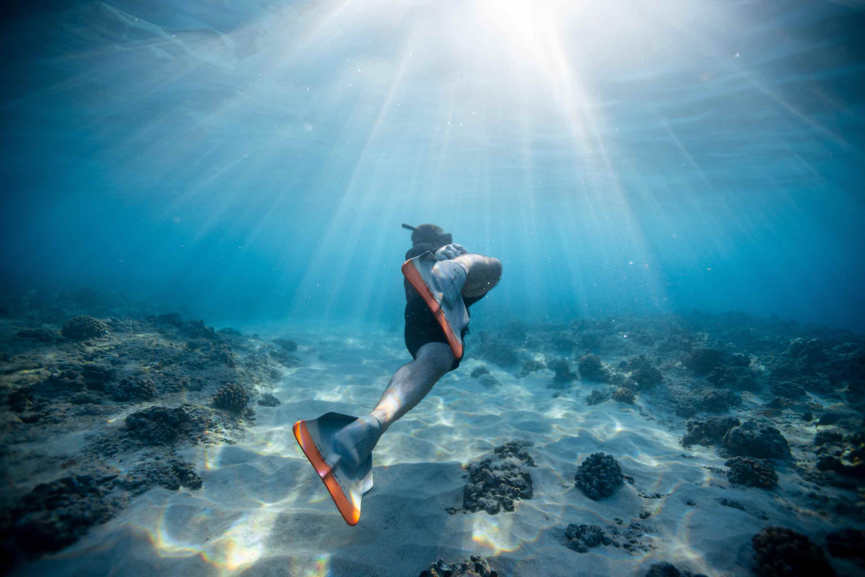 underwater snorkeling in Hawaii