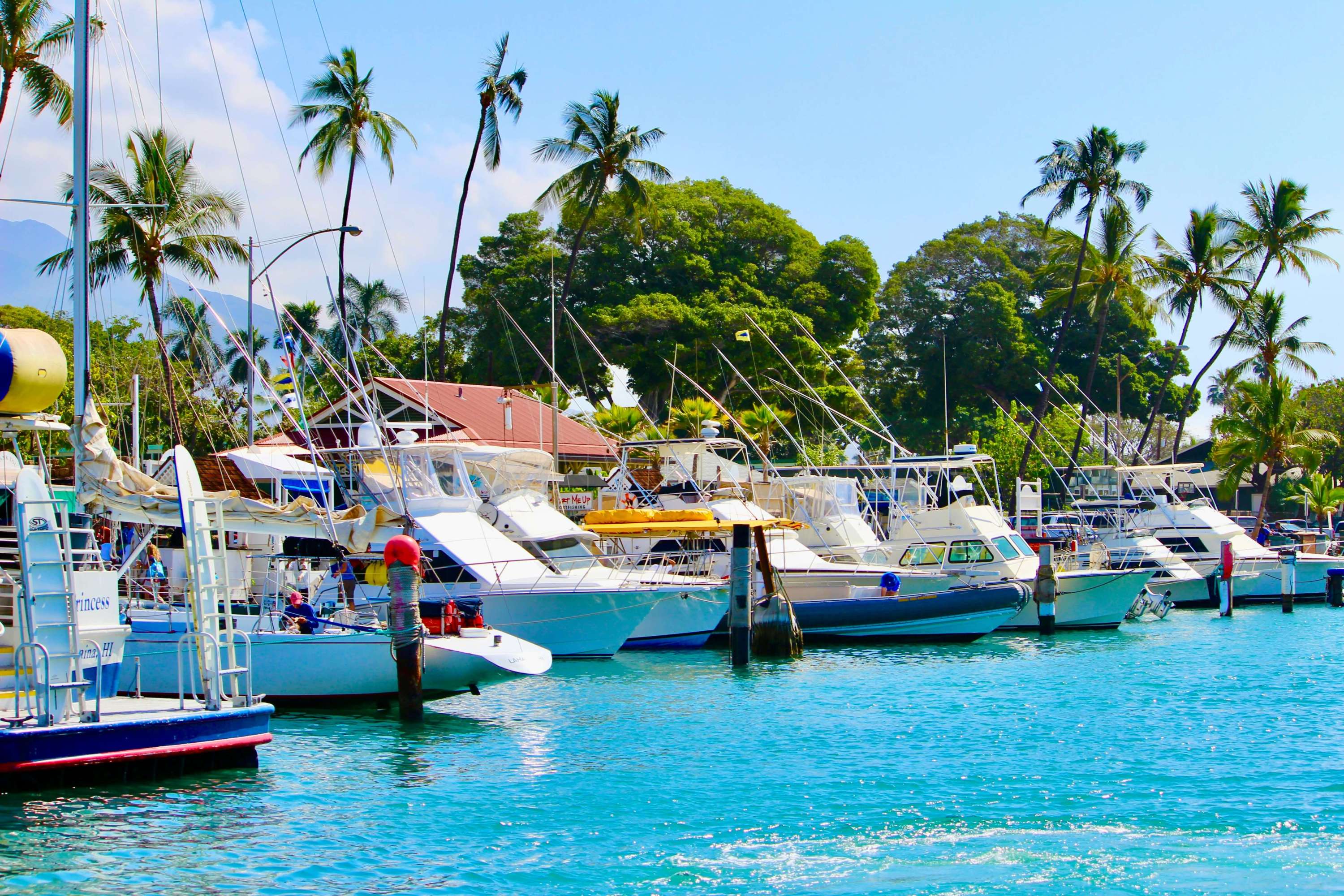 a bunch of boats docked on shore with clear blue water surrounding them