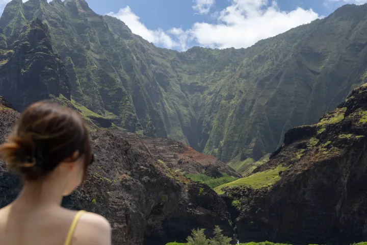 Person admires lush green mountains under a clear blue sky.