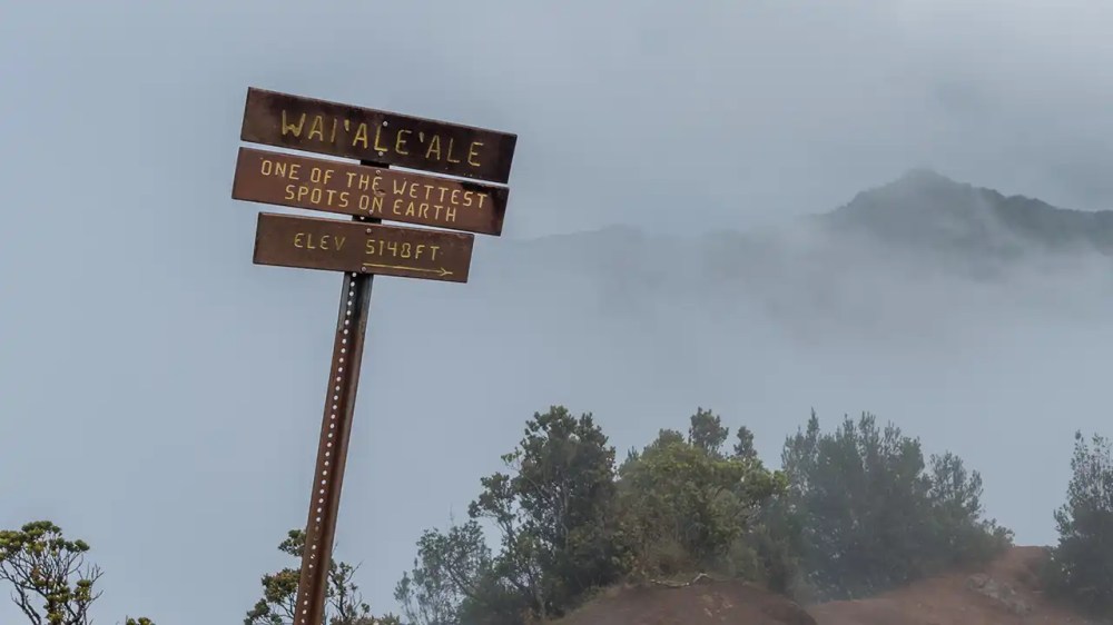 Sign for Wai'ale'ale, one of the wettest spots on Earth, amid foggy mountains.