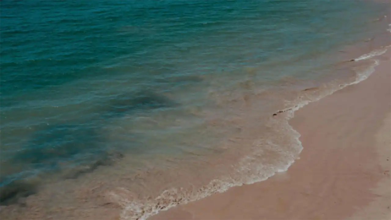 small waves washing on shore at the beach