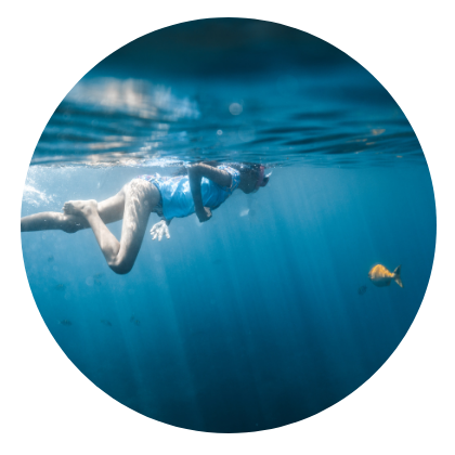 Person snorkeling underwater with a fish nearby.