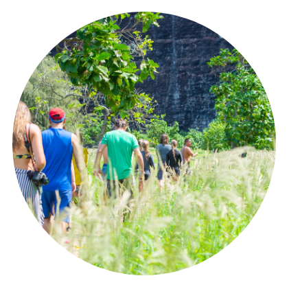 People walking on a grassy path surrounded by trees.